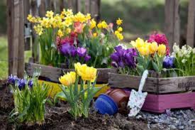 Tulsa Garden Fundraiser